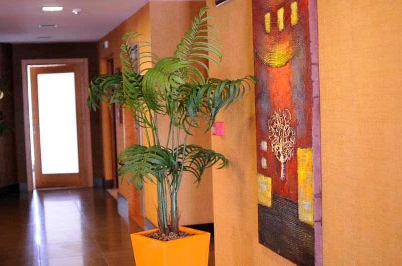 Hotel Fly Casoria Bagian luar foto